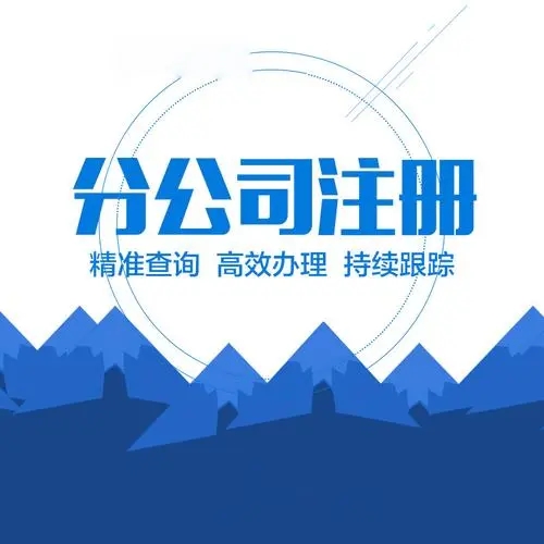 分公司注册/全国公司营业执照/抖音店铺注册认证用