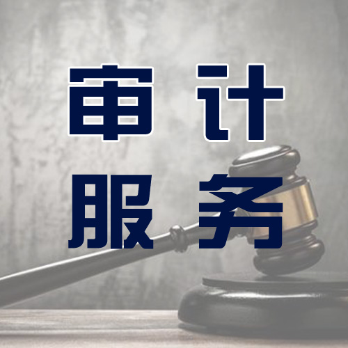 财务审计| 评估公司丨专业会计丨**疑难丨税务筹划专业实惠