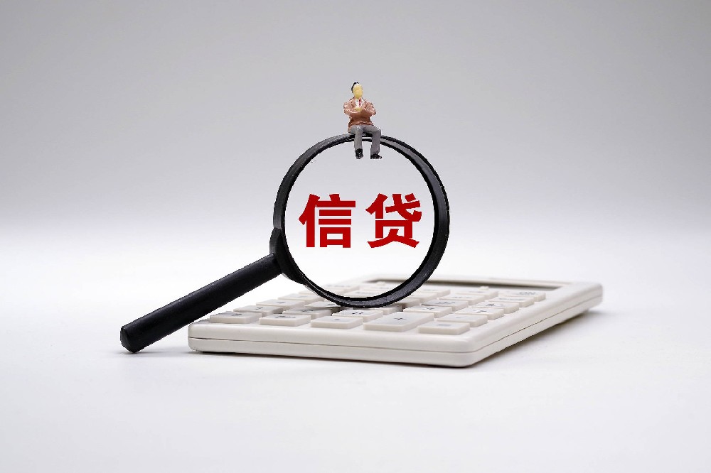 金融服务金融保险 贷款公司转让